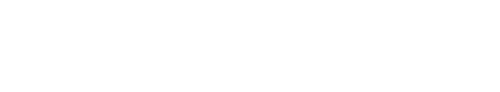 bloomcredit logo